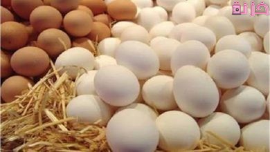 ما تفسير حلم جمع البيض في المنام للعزباء