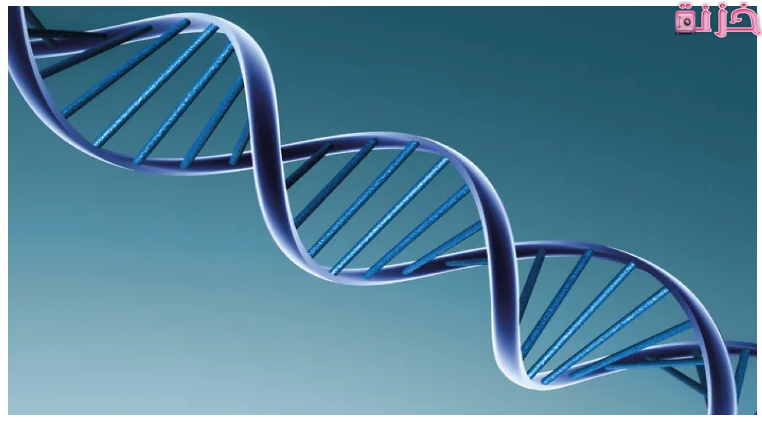 تحليل DNA
