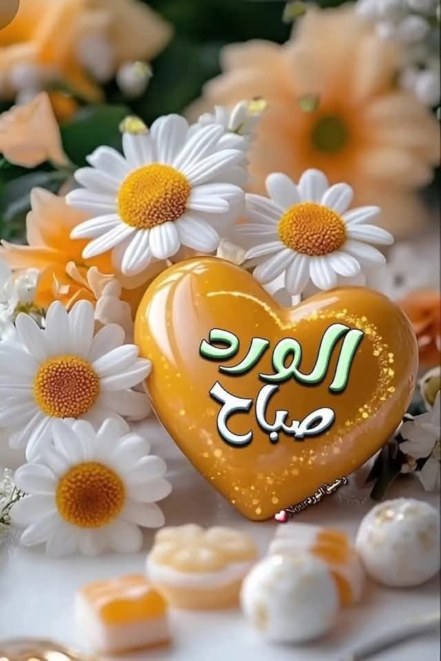 صور صباح الورد والياسمين
